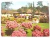 FLORALIES INTERNATIONALES PARIS 1969